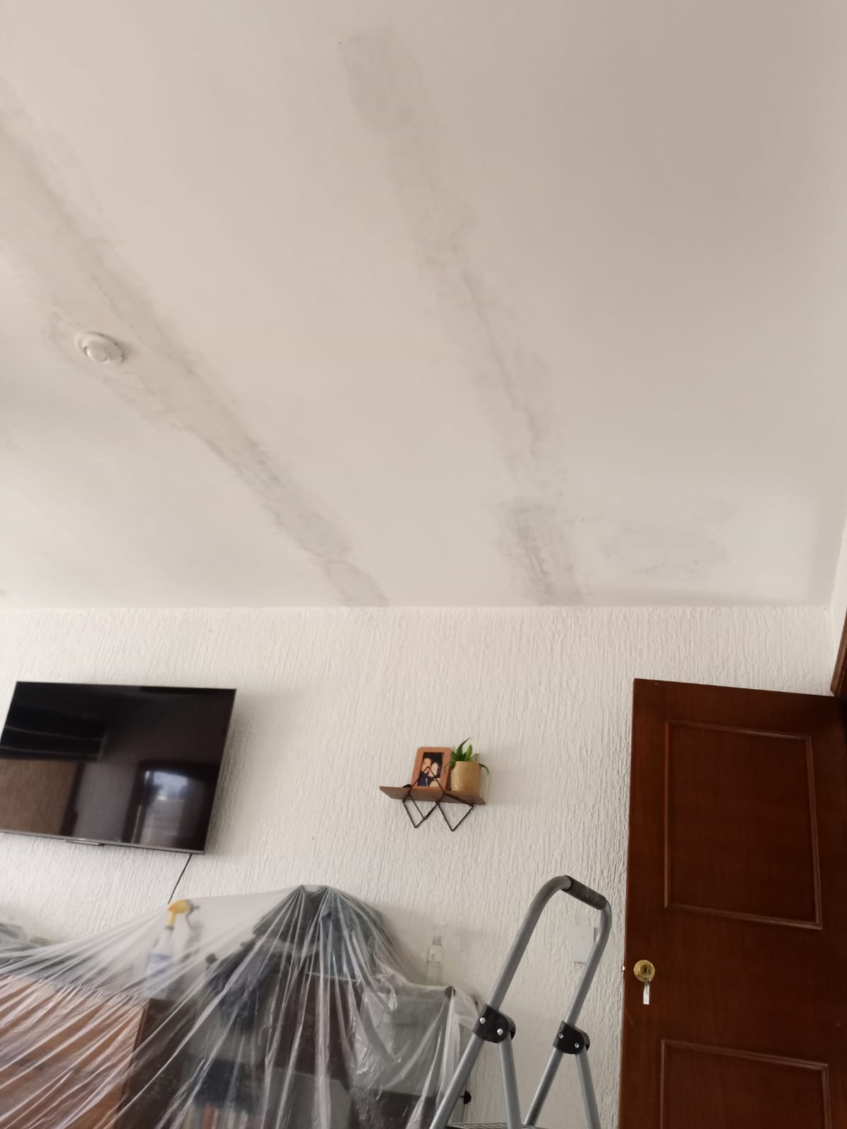 foto interior